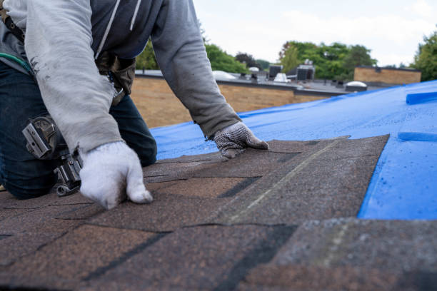 Best Roof Maintenance Services  in Bellevue, IL