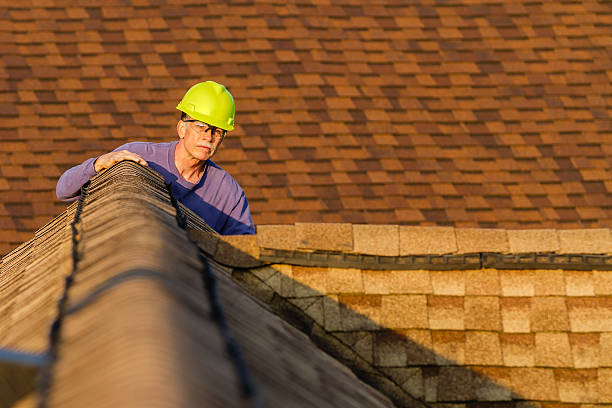 Best Slate Roofing Contractor  in Bellevue, IL