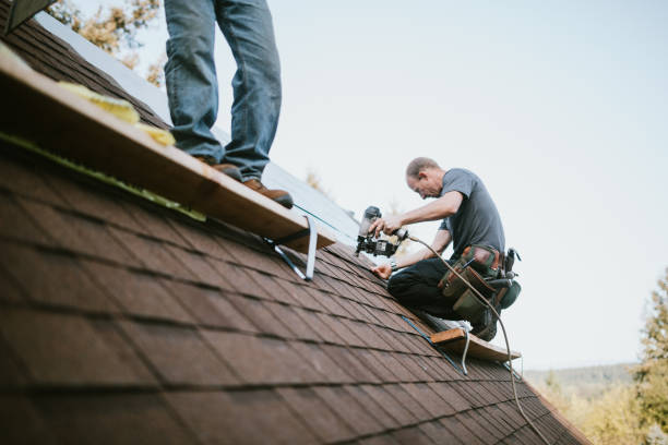 Best Gutter Installation and Roofing  in Bellevue, IL